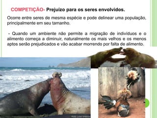 COMPETIÇÃO- Prejuízo para os seres envolvidos.
Ocorre entre seres de mesma espécie e pode delinear uma população,
principalmente em seu tamanho.
- Quando um ambiente não permite a migração de indivíduos e o
alimento começa a diminuir, naturalmente os mais velhos e os menos
aptos serão prejudicados e vão acabar morrendo por falta de alimento.
 