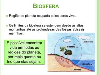 BIOSFERA
 Região do planeta ocupada pelos seres vivos.
 Os limites da biosfera se estendem desde às altas
montanhas até as profundezas das fossas abissais
marinhas.
É possível encontrar
vida em todas as
regiões do planeta,
por mais quente ou
frio que elas sejam.
 