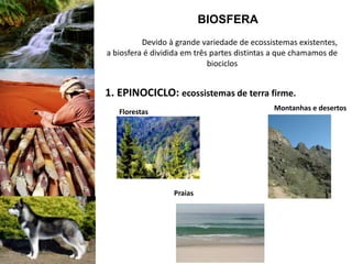 Devido à grande variedade de ecossistemas existentes,
a biosfera é dividida em três partes distintas a que chamamos de
biociclos
BIOSFERA
1. EPINOCICLO: ecossistemas de terra firme.
Florestas
Praias
Montanhas e desertos
 