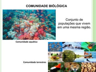 COMUNIDADE BIÓLÓGICA
Conjunto de
populações que vivem
em uma mesma região.
Comunidade aquática
Comunidade terrestres
 
