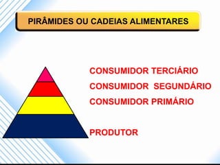 PIRÂMIDES OU CADEIAS ALIMENTARES




            CONSUMIDOR TERCIÁRIO
            CONSUMIDOR SEGUNDÁRIO
            CONSUMIDOR PRIMÁRIO


            PRODUTOR
 