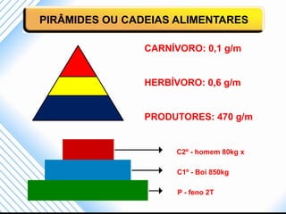 PIRÂMIDES OU CADEIAS ALIMENTARES

                CARNÍVORO: 0,1 g/m


                HERBÍVORO: 0,6 g/m


                PRODUTORES: 470 g/m


                      C2º - homem 80kg x

                      C1º - Boi 850kg

                      P - feno 2T
 
