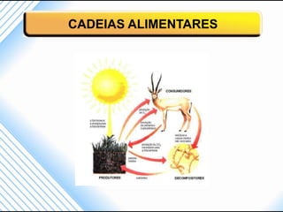 CADEIAS ALIMENTARES
 
