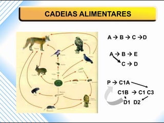 CADEIAS ALIMENTARES


             A  B  C D


              ABE
                 CD


             P  C1A
                C1B  C1 C3
                  D1 D2
 