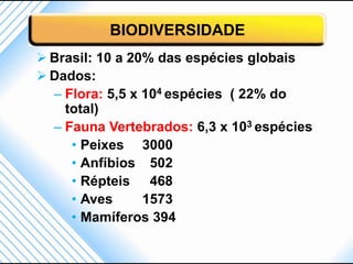 BIODIVERSIDADE
 Brasil: 10 a 20% das espécies globais
 Dados:
  – Flora: 5,5 x 104 espécies ( 22% do
    total)
  – Fauna Vertebrados: 6,3 x 103 espécies
     • Peixes 3000
     • Anfíbios 502
     • Répteis 468
     • Aves      1573
     • Mamíferos 394
 