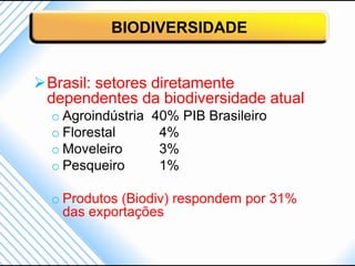 BIODIVERSIDADE


Brasil: setores diretamente
 dependentes da biodiversidade atual
  o Agroindústria 40% PIB Brasileiro
  o Florestal      4%
  o Moveleiro      3%
  o Pesqueiro      1%

  o Produtos (Biodiv) respondem por 31%
    das exportações
 