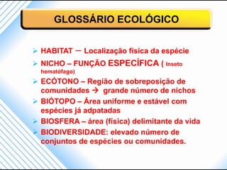 GLOSSÁRIO ECOLÓGICO


 HABITAT       – Localização física da espécie
 NICHO – FUNÇÃO ESPECÍFICA ( Inseto
  hematófago)
 ECÓTONO – Região de sobreposição de
  comunidades  grande número de nichos
 BIÓTOPO – Área uniforme e estável com
  espécies já adpatadas
 BIOSFERA – área (física) delimitante da vida
 BIODIVERSIDADE: elevado número de
  conjuntos de espécies ou comunidades.
 