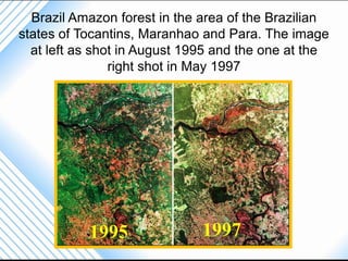 Brazil Amazon forest in the area of the Brazilian
states of Tocantins, Maranhao and Para. The image
  at left as shot in August 1995 and the one at the
                right shot in May 1997




           1995               1997
 