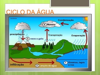 CICLO DA ÁGUA 
