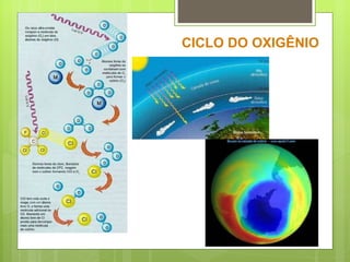 CICLO DO OXIGÊNIO 