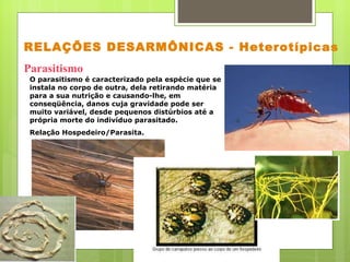 RELAÇÕES DESARMÔNICAS - Heterotípicas   Parasitismo  O parasitismo é caracterizado pela espécie que se instala no corpo de outra, dela retirando matéria para a sua nutrição e causando-lhe, em conseqüência, danos cuja gravidade pode ser muito variável, desde pequenos distúrbios até a própria morte do indivíduo parasitado. Relação Hospedeiro/Parasita.  