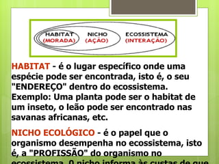 HABITAT  -  é o lugar específico onde uma espécie pode ser encontrada, isto é, o seu "ENDEREÇO" dentro do ecossistema. Exemplo: Uma planta pode ser o habitat de um inseto, o leão pode ser encontrado nas savanas africanas, etc. NICHO ECOLÓGICO   - é o papel que o organismo desempenha no ecossistema, isto é, a "PROFISSÃO" do organismo no ecossistema. 0 nicho informa às custas de que se alimenta, a quem serve de alimento, como se reproduz, etc.  