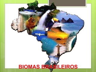 BIOMAS BRASILEIROS 