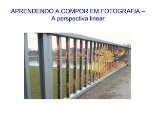 APRENDENDO A COMPOR EM FOTOGRAFIA –
A perspectiva linear
 