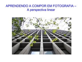 APRENDENDO A COMPOR EM FOTOGRAFIA –
A perspectiva linear
 