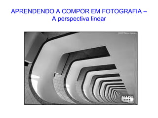 APRENDENDO A COMPOR EM FOTOGRAFIA –
A perspectiva linear
 