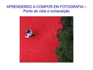 APRENDENDO A COMPOR EM FOTOGRAFIA –
Ponto de vista e composição
 