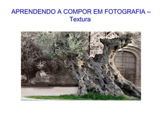 APRENDENDO A COMPOR EM FOTOGRAFIA –
Textura
 