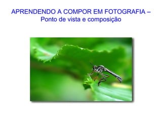 APRENDENDO A COMPOR EM FOTOGRAFIA –
Ponto de vista e composição
 