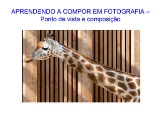 APRENDENDO A COMPOR EM FOTOGRAFIA –
Ponto de vista e composição
 