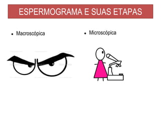 ESPERMOGRAMA E SUAS ETAPAS
● Macroscópica ● Microscópica
 