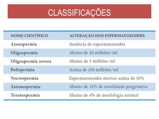CLASSIFICAÇÕES
 
