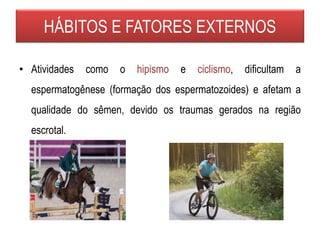 • Atividades como o hipismo e ciclismo, dificultam a
espermatogênese (formação dos espermatozoides) e afetam a
qualidade do sêmen, devido os traumas gerados na região
escrotal.
HÁBITOS E FATORES EXTERNOS
 