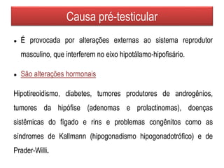 Causa pré-testicular
● É provocada por alterações externas ao sistema reprodutor
masculino, que interferem no eixo hipotálamo-hipofisário.
● São alterações hormonais
Hipotireoidismo, diabetes, tumores produtores de androgênios,
tumores da hipófise (adenomas e prolactinomas), doenças
sistêmicas do fígado e rins e problemas congênitos como as
síndromes de Kallmann (hipogonadismo hipogonadotrófico) e de
Prader-Willi.
 