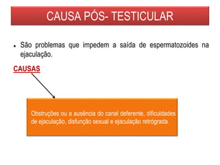 CAUSA PÓS- TESTICULAR
● São problemas que impedem a saída de espermatozoides na
ejaculação.
CAUSAS
Obstruções ou a ausência do canal deferente, dificuldades
de ejaculação, disfunção sexual e ejaculação retrógrada.
 