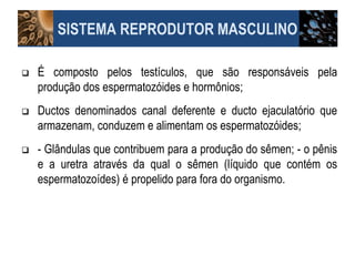 SISTEMA REPRODUTOR MASCULINO
 É composto pelos testículos, que são responsáveis pela
produção dos espermatozóides e hormônios;
 Ductos denominados canal deferente e ducto ejaculatório que
armazenam, conduzem e alimentam os espermatozóides;
 - Glândulas que contribuem para a produção do sêmen; - o pênis
e a uretra através da qual o sêmen (líquido que contém os
espermatozoídes) é propelido para fora do organismo.
 