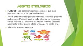 AGENTES ETIOLÓGICOS
 FUNGOS: são organismos microscópicos que não
precisam de luz solar para sobreviver.
 Vivem em ambientes quentes e úmidos, incluindo piscinas
e chuveiros. Podem invadir a pele através de pequenos
cortes visíveis ou invisíveis ou através de uma pequena
separação entre a unha e leito ungueal, na borda livre.
 alimentam-se de queratina.
 