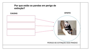 CAUSAS
Por que estão os pandas em perigo de
extinção?
EFEITO
PERIGO DE EXTINÇÃO DOS PANDAS
 