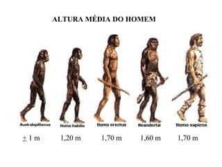+  1 m  1,20 m  1,70 m  1,60 m  1,70 m ALTURA MÉDIA DO HOMEM 