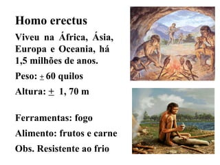 Homo erectus Viveu na África, Ásia, Europa e Oceania, há  1,5 milhões de anos. Peso:  +   60 quilos Altura:  +   1, 70 m  Ferramentas: fogo Alimento: frutos e carne Obs. Resistente ao frio 