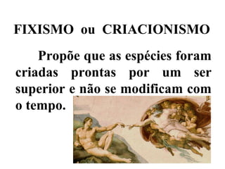 FIXISMO  ou  CRIACIONISMO Propõe que as espécies foram criadas prontas por um ser superior e não se modificam com o tempo. 