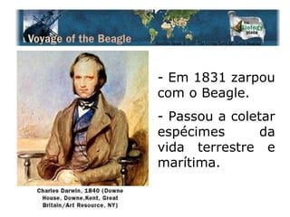 Em 1831 zarpou com o Beagle. Passou a coletar espécimes da vida terrestre e marítima. 