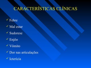 CARACTERÍSTICAS CLÍNICAS
 Febre
 Mal estar
 Sudorese
 Enjôo
 Vômito
 Dor nas articulações
 Icterícia
 