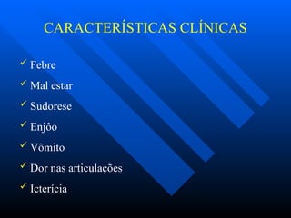 CARACTERÍSTICAS CLÍNICAS
 Febre
 Mal estar
 Sudorese
 Enjôo
 Vômito
 Dor nas articulações
 Icterícia
 