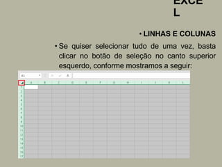 EXCE
L
• LINHAS E COLUNAS
• Se quiser selecionar tudo de uma vez, basta
clicar no botão de seleção no canto superior
esquerdo, conforme mostramos a seguir:
 
