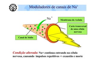 Moduladores de canais de Na+

                           Na +       Membrana do Axônio

                                             Corte transversal
                                              de uma célula
                                                 nervosa

    Canal de Sódio




Condição alterada: Na+ continua entrando na célula
nervosa, causando impulsos repetitivos  exaustão e morte
 