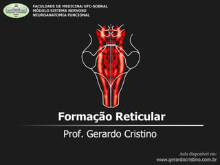 Formação Reticular
Prof. Gerardo Cristino
Aula disponível em:
www.gerardocristino.com.br
FACULDADE DE MEDICINA/UFC-SOBRAL
MÓDULO SISTEMA NERVOSO
NEUROANATOMIA FUNCIONAL
 