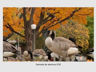 Exemplo de abertura f/32
 