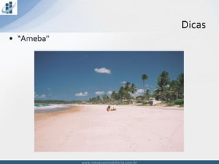 www.inovacaoimobiliaria.com.brwww.inovacaoimobiliaria.com.br
Dicas
• “Ameba”
 