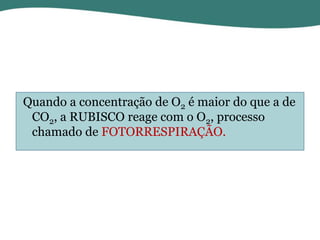 Quando a concentração de O2 é maior do que a de
CO2, a RUBISCO reage com o O2, processo
chamado de FOTORRESPIRAÇÃO.

 
