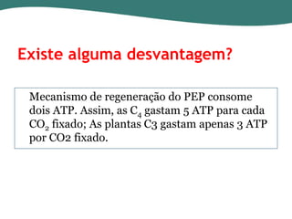 Existe alguma desvantagem?
Mecanismo de regeneração do PEP consome
dois ATP. Assim, as C4 gastam 5 ATP para cada
CO2 fixado; As plantas C3 gastam apenas 3 ATP
por CO2 fixado.

 