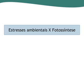Estresses ambientais X Fotossíntese

 