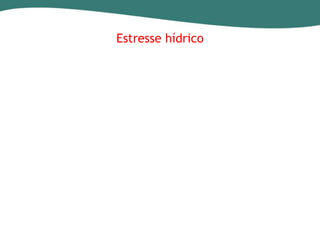 Estresse hídrico

 