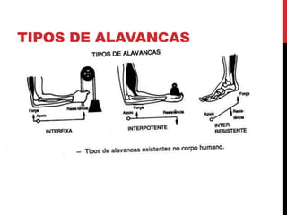 TIPOS DE ALAVANCAS
 