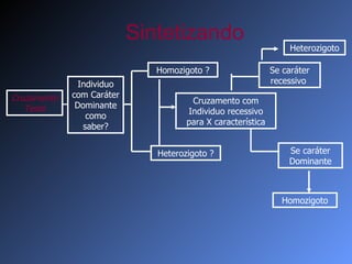 Sintetizando Individuo com Caráter Dominante como saber? Homozigoto ? Heterozigoto ? Cruzamento com Individuo recessivo para X característica Se caráter recessivo  Se caráter Dominante Heterozigoto Homozigoto Cruzamento Teste 