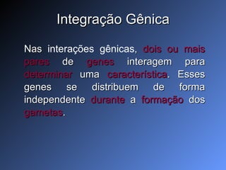 Integração Gênica Nas  interações gênicas ,  dois ou   mais pares  de  genes   interagem para  determinar  uma  característica . Esses genes se distribuem de forma independente  durante   a  formação  dos  gametas .  